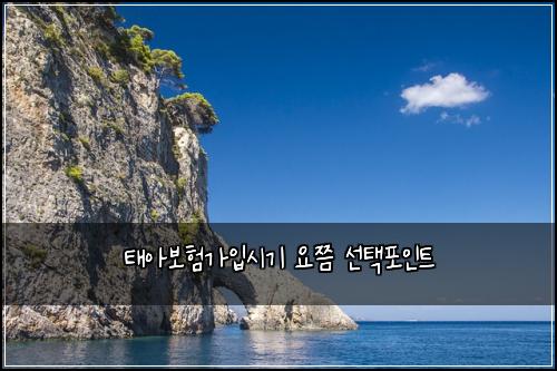 태아보험가입시기 요쯤 선택포인트