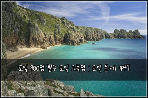 토익 900점 필수 토익 고득점 : 토익 문제 #47