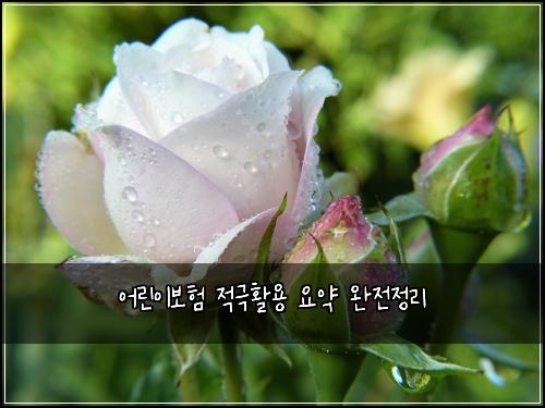 어린이보험 적극활용  요약 완전정리