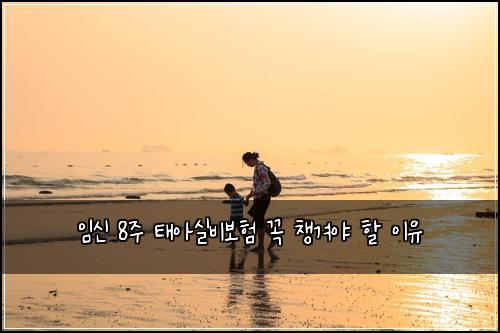 임신 8주 태아실비보험 꼭 챙겨야 할 이유