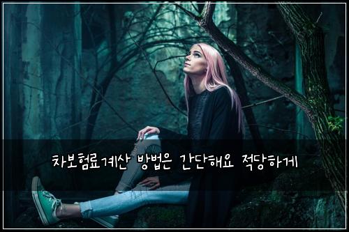 ์ฐจ๋ณดํ๋ฃ๊ณ์ฐ ๋ฐฉ๋ฒ์ ๊ฐ๋จํด์ ์ ๋นํ๊ฒ