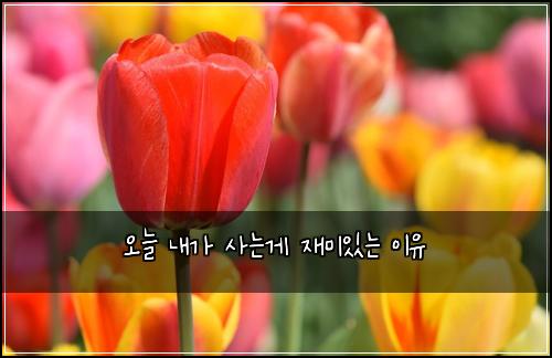 오늘 내가 사는게 재미있는 이유