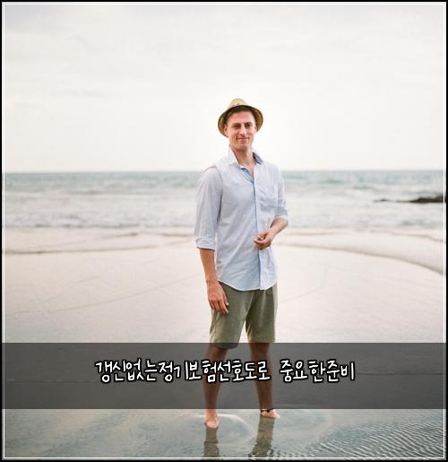 갱신없는정기보험선호도로 중요한준비