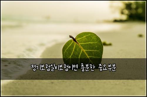 정기보험실비보험이면 충분한 중요부분