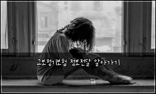 교보정기보험 정보전달  알아가기
