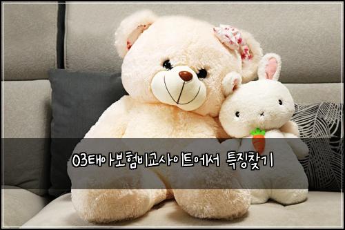 03태아보험비교사이트에서 특징찾기