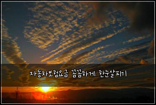 자동차보험요금 꼼꼼하게 한눈살피기