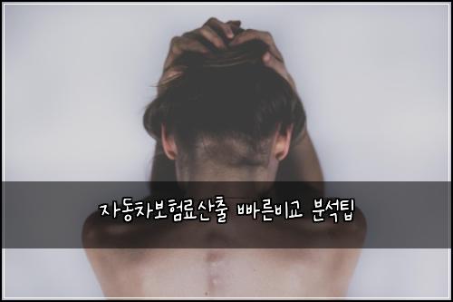 ์๋์ฐจ๋ณดํ๋ฃ์ฐ์ถ ๋น ๋ฅธ๋น๊ต ๋ถ์ํ