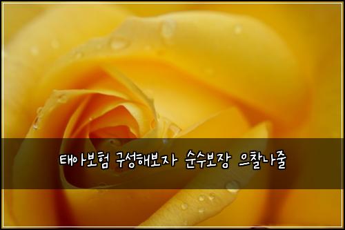 태아보험 구성해보자  순수보장 으찰나줄