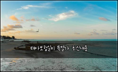 태아보험실비 특별가 최신내용