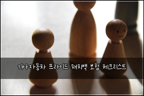 기아자동차 프라이드 해치백 보험 체크리스트