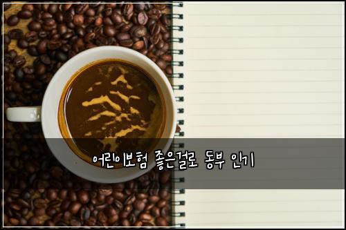 어린이보험 좋은걸로  동부 인기