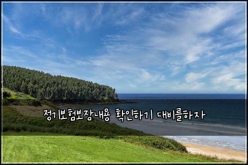 정기보험보장내용 확인하기 대비를하자