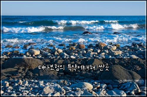 태아보험의 특약에대해 싼곳