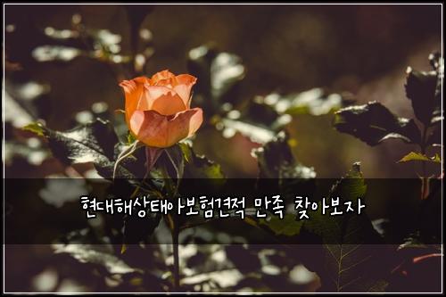 ํ๋ํด์ํ์๋ณดํ๊ฒฌ์ ๋ง์กฑ ์ฐพ์๋ณด์