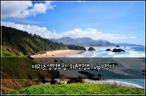 메리츠생명보험 혜택정보  vip 정기