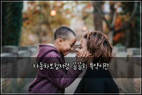 자동차보험저렴 꼼꼼히 특약이란