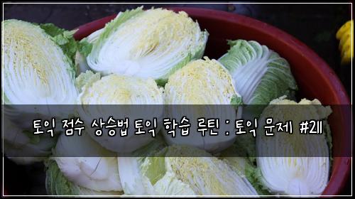 토익 점수 상승법 토익 학습 루틴 : 토익 문제 #211