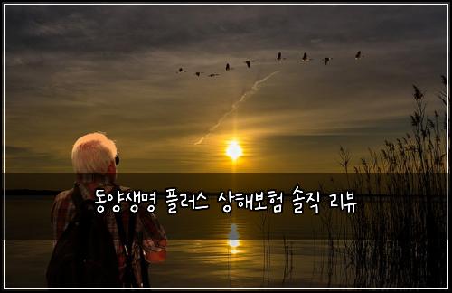 동양생명 플러스 상해보험 솔직 리뷰