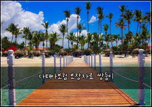 ๋คํ์๋ณดํ ๋ณด์ฅ์๋ฃ ์๋ฅ์ด