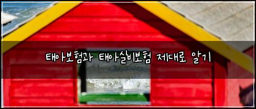 태아보험과 태아실비보험 제대로 알기