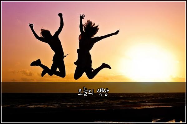 오늘의 색상