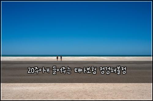 20주이내 들어주는 태아보험 점검해볼점 