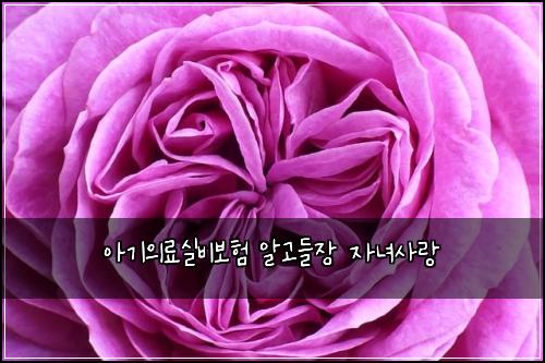 아기의료실비보험 알고들장  자녀사랑