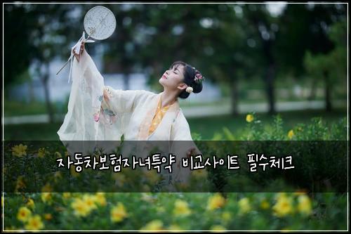 자동차보험자녀특약 비교사이트 필수체크