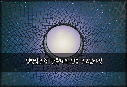 생명암보험 항목체크  언능 보고싶다잉