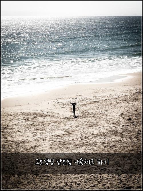 교보생명 암보험 내용체크  하기