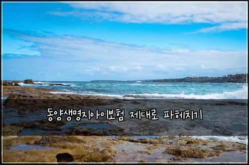 동양생명지아이보험 제대로 파헤치기