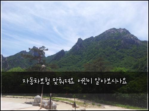 ์๋์ฐจ๋ณดํ ๋ง์ถฐ์ ธ์ ์ด๋ฆฐ์ด ์์๋ณด์๋์