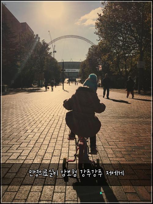 민영의료실비 암보험 강추강추  저에게