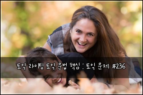 토익 라이팅 토익 문법 핵심 : 토익 문제 #236