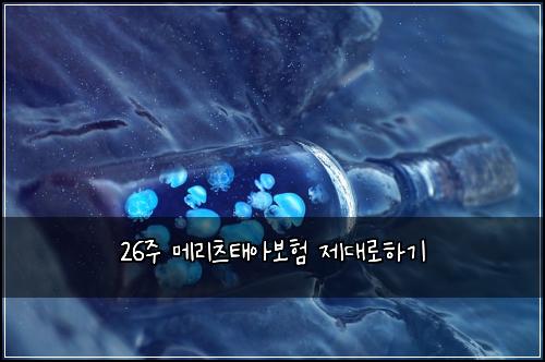 26주 메리츠태아보험 제대로하기 