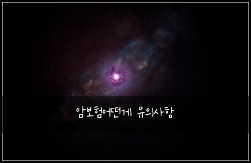 암보험어떤게 유의사항