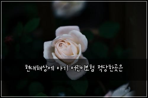 ํ๋ํด์์ ์๊ธฐ ์ด๋ฆฐ์ด๋ณดํ ์ ๋นํ๊ณณ์