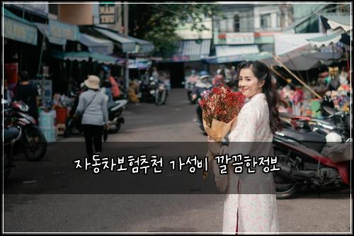 자동차보험추천 가성비 깔끔한정보