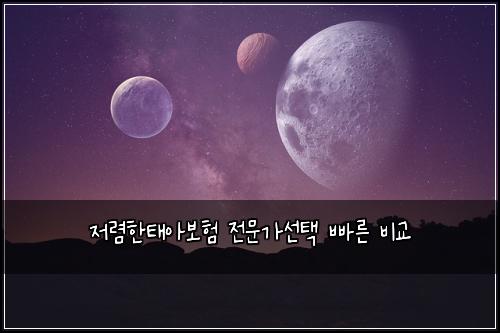 저렴한태아보험 전문가선택  빠른 비교