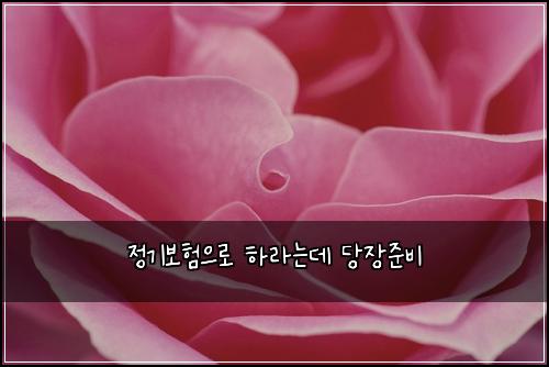 ์ ๊ธฐ๋ณดํ์ผ๋ก ํ๋ผ๋๋ฐ ๋น์ฅ์ค๋น
