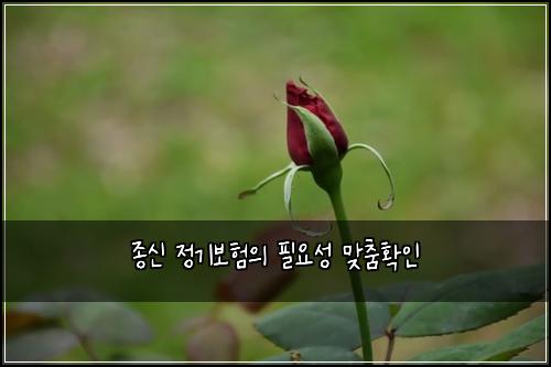 ์ข
์ ์ ๊ธฐ๋ณดํ์ ํ์์ฑ ๋ง์ถคํ์ธ