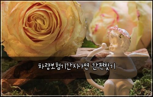 ์ฐจ๋๋ณดํ๊ธฐ๊ฐ์ง๋๋ฉด ๊ฐํธ์ฐพ๊ธฐ