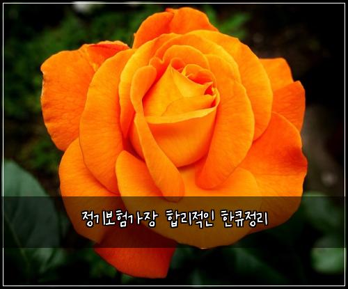 정기보험가장 합리적인 한큐정리