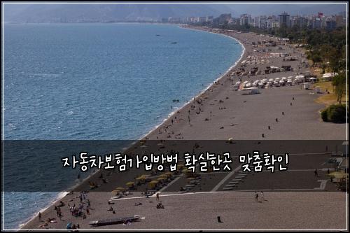 자동차보험가입방법 확실한곳 맞춤확인