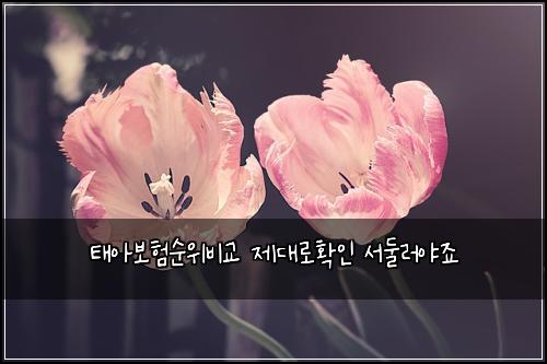 ํ์๋ณดํ์์๋น๊ต ์ ๋๋กํ์ธ ์๋๋ฌ์ผ์ฃ