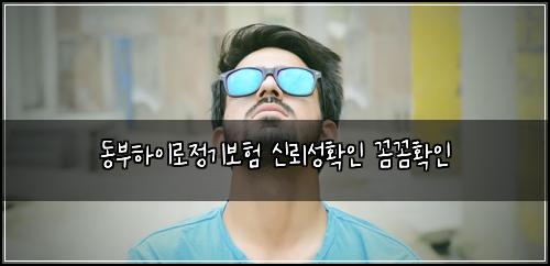 동부하이로정기보험 신뢰성확인  꼼꼼확인