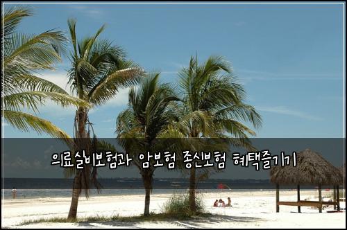 의료실비보험과 암보험 종신보험 혜택즐기기