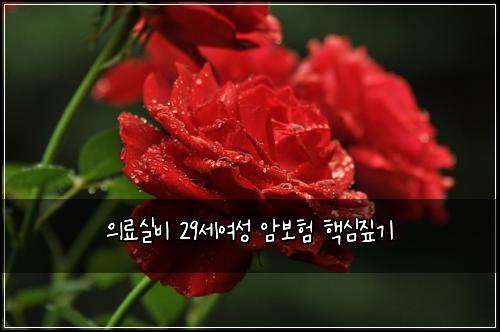 의료실비 29세여성 암보험 핵심짚기 