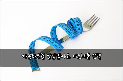 자동차보험 상담받아요  대인대물 선택